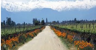 Chile_Maipo