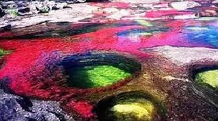 Colombia_Cano_Cristales