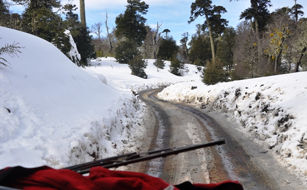 camino_nieve