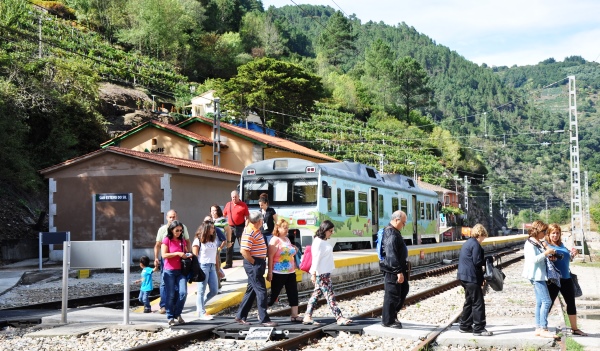 estación de Santo Estevo de Ribas de Sil estacion