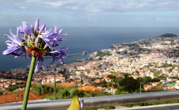 funchal