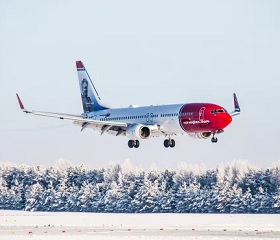 norwegian_nieve