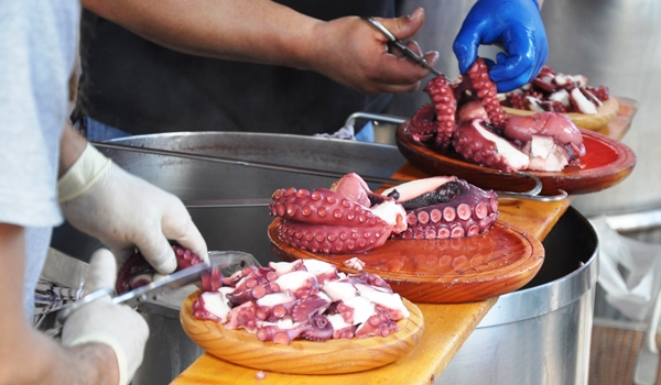 pulpo