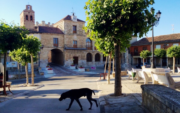 Torrelobatón Ayuntamiento