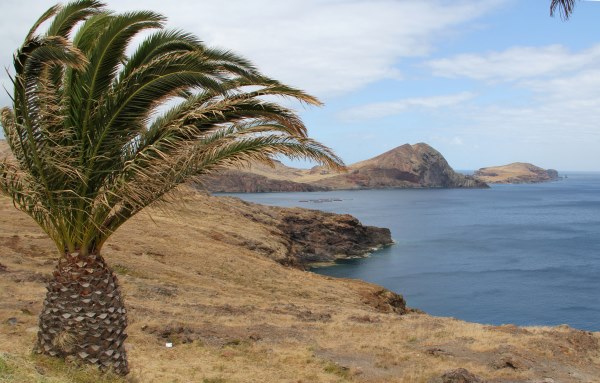 viento