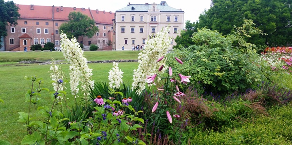 wawel