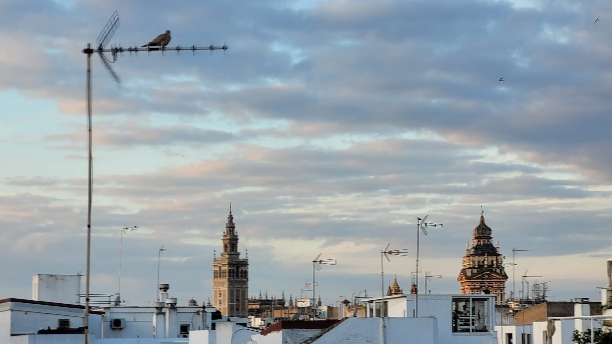 cielo sevilla