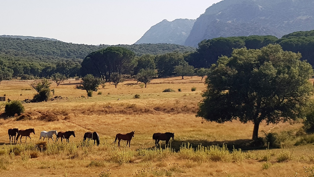 finca Tambor