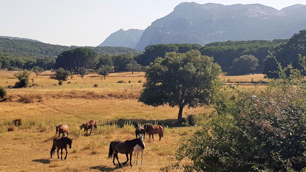 finca Tambor 2