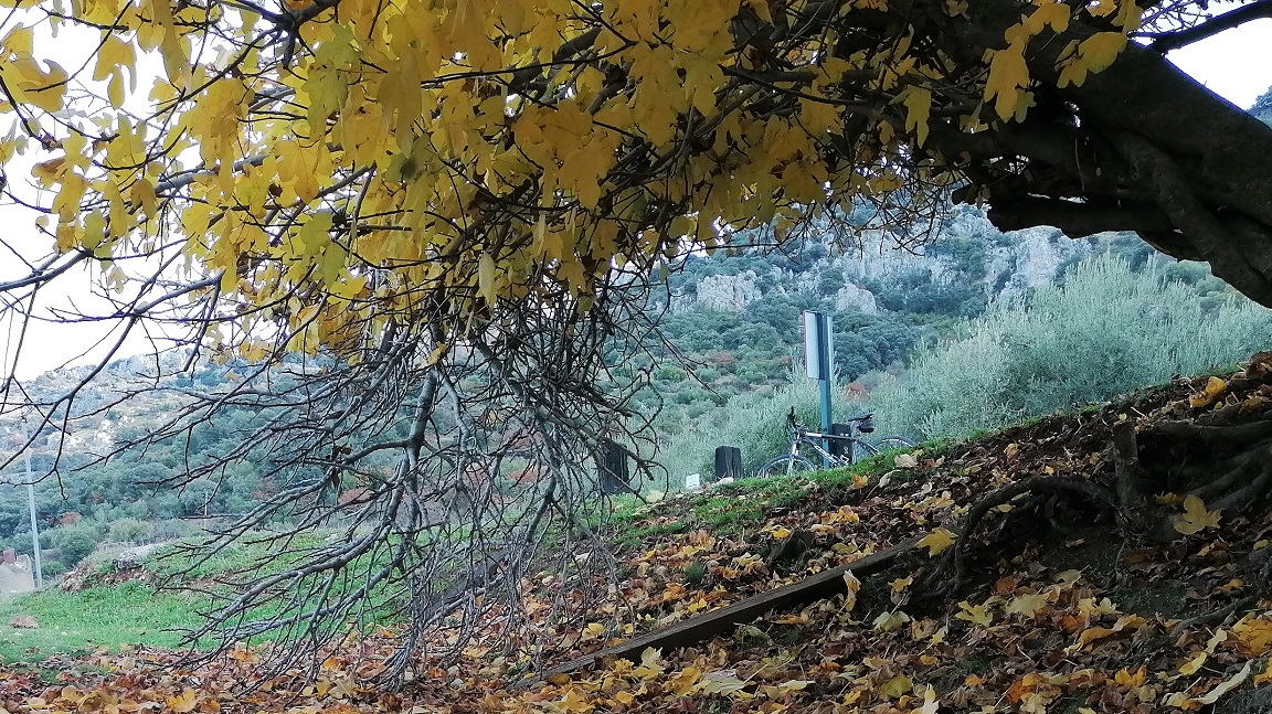 Otoño bici