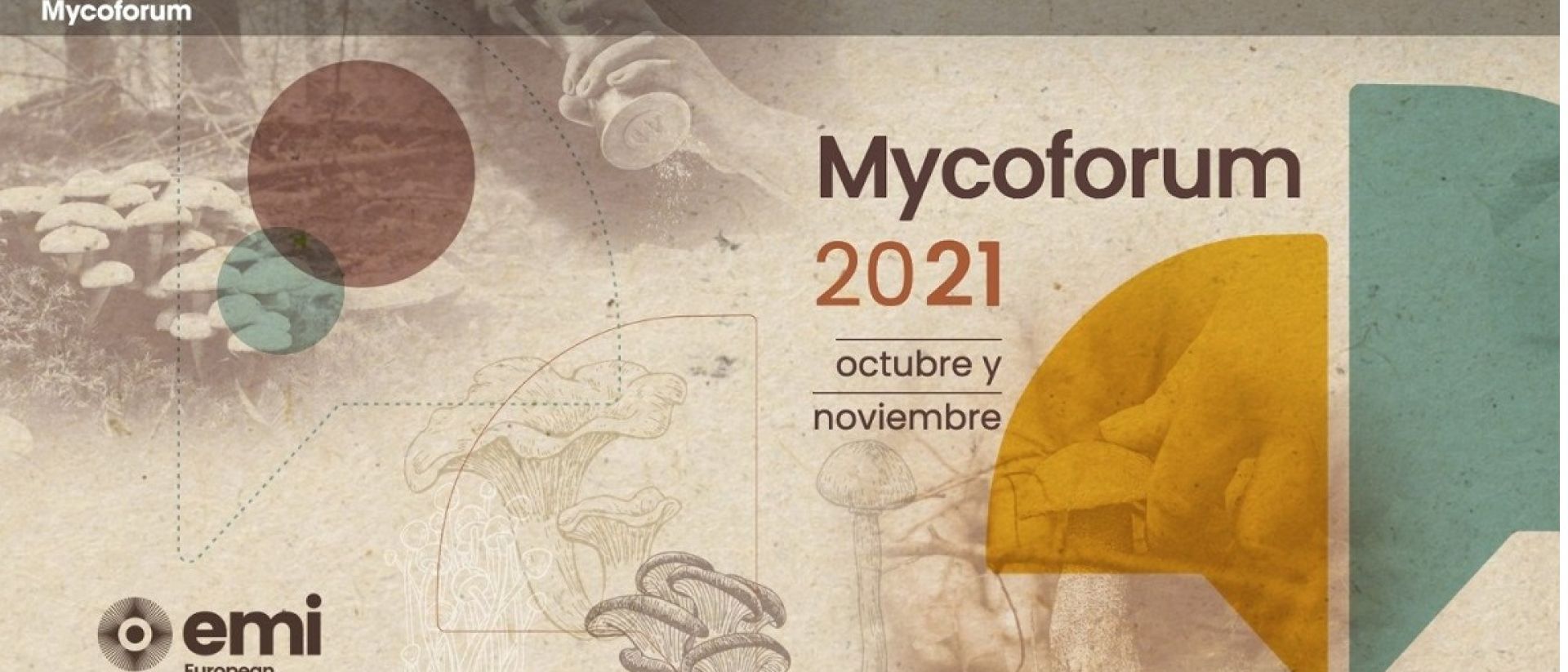 Ávila reçoit une activité pour promouvoir l’entrepreneuriat mycologique et l’innovation