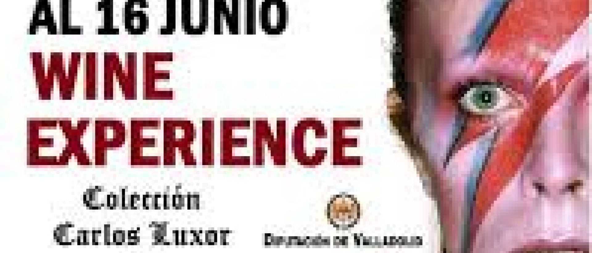 David Bowie Wine Experience, en el Museo Provincial del Vino de