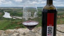 Copa de vino DO Toro