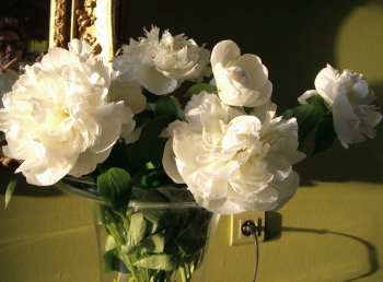 detalle en el Chateau de Reignac