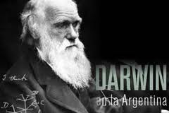 Argentina_Darwin