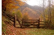 Otoño en Asturias