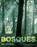 Bosques