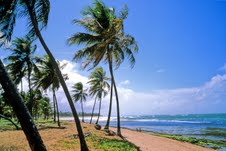 Brasil_Praia_do_Forte