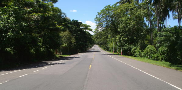 la Litoral se vuelve a veces frondosa