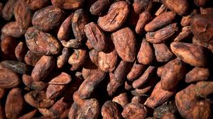 Cacao