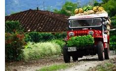 Triángulo del café. Colombia