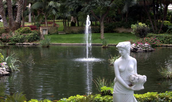 jardín del hotel Botánico