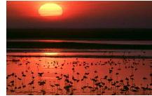 Parque Nacional de Doñana