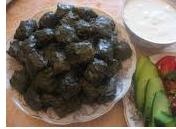 Dolma