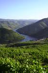 Rio Douro