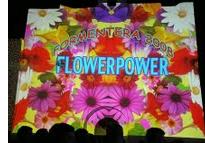 Flower_Power