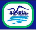 Grupo_Gaviota