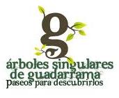 Guadarrama_arboles