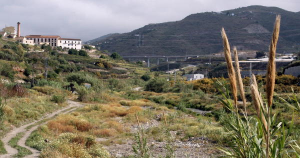 el Ingenio de San Rafael