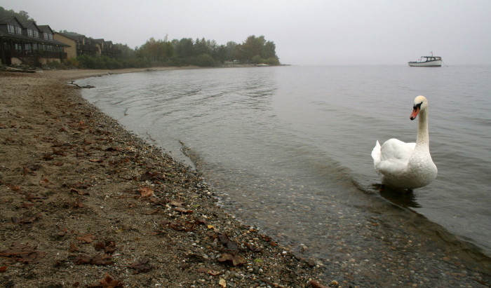 Lodge sobre el Lago Lomond