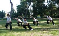 Tai Chi en tierras del Jerez