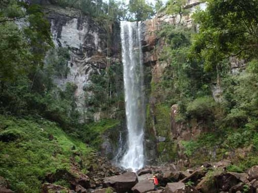 Misiones_Ruta_selva