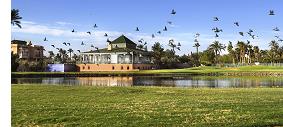 Palmeraie Golf Club