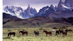 Patagonia