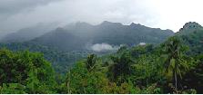 El Yunque en Puerto Rico