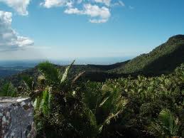 Puerto_Rico_El_yunque