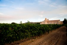 Ruta_Vino_Ribera