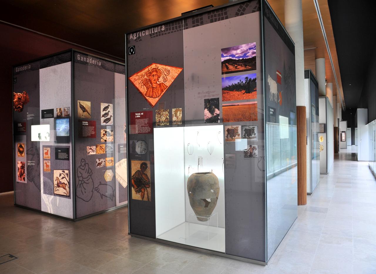 Valladolid_Museo_Villas_Romanas
