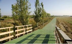 Valladolid_Sendero_esgueva