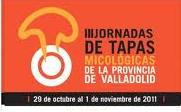 Valladolid_Tapas_Micologicas