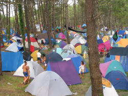 zona de acampada en el pinar de Morouzos