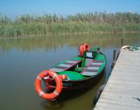 Foto: Albufera de Valencia albufera