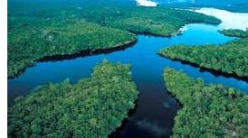 amazonas