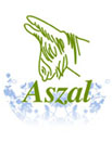 Aszal