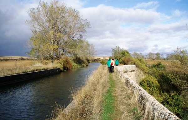 caminando