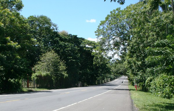 carretera carretera